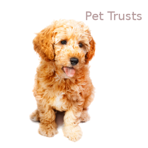 Pet Trusts